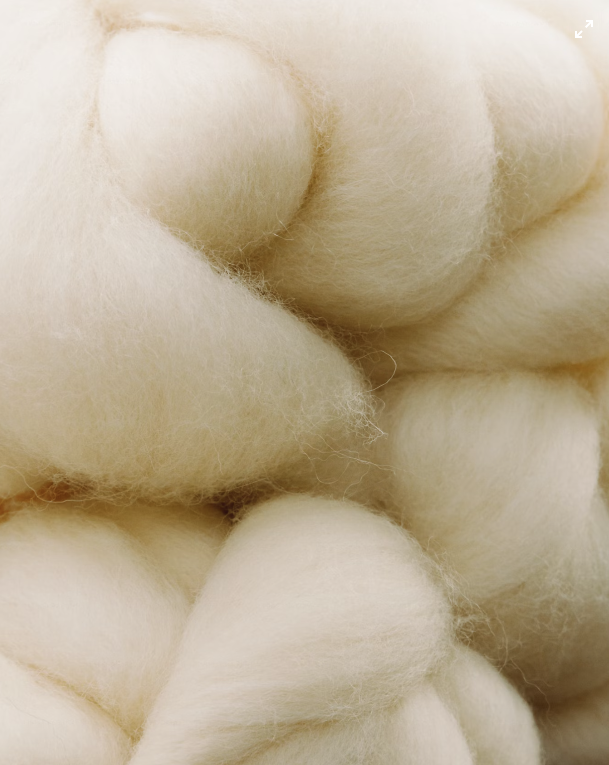 magliette 100% cotone biologico 